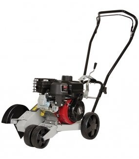 Masport (Gasoline Edger - B&S)