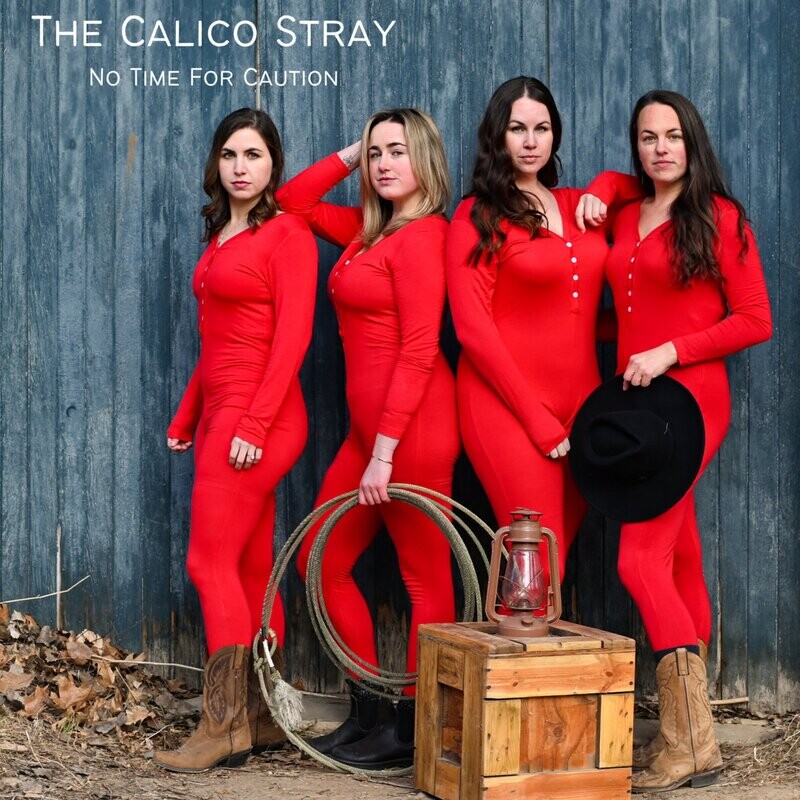 The Calico Stray - No Time For Caution