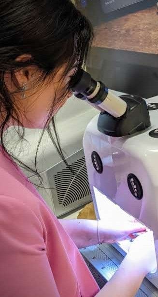 DaDo Lens Replacement - Includes pickup and return via courier