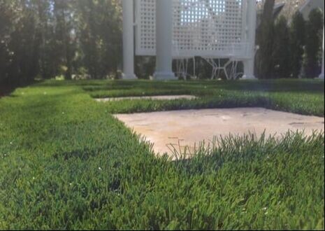 TURF