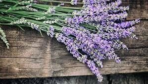 AROMATHERAPY