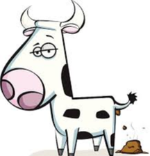 Manure - Cow