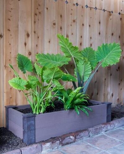 PE Garden Box