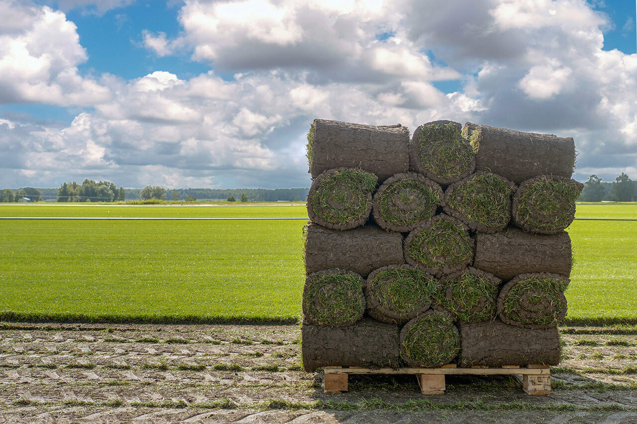Turf/Grass 2&#39;X5&#39; Roll *** Pick up at Pacific HaVen ***