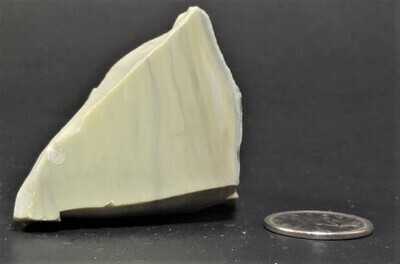Decor - Rough - Butterstone
