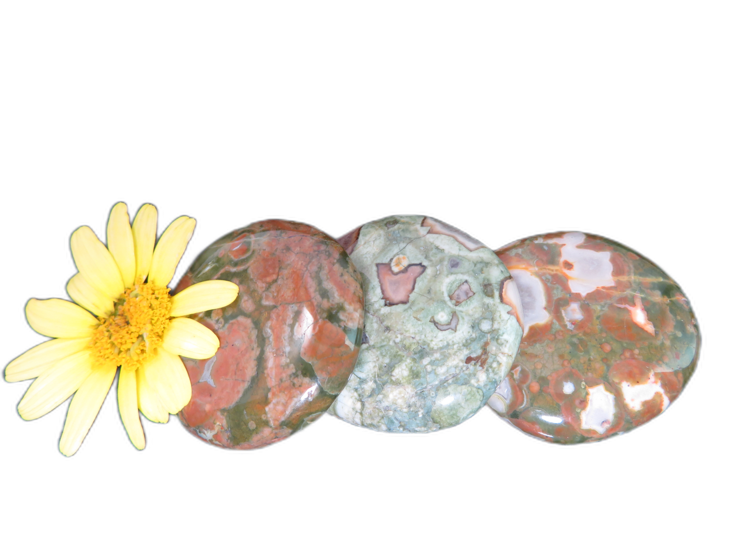 Decor - Earth Stone Rhyolite