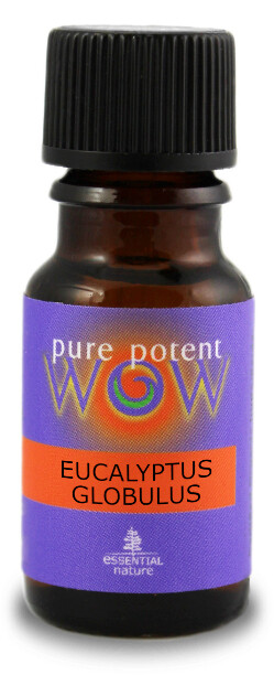 Essent Oil - Eucalyptus Globulus 12ml