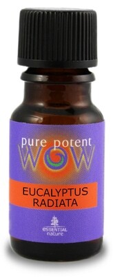 Essent Oil - Eucalyptus Radiata 12ml