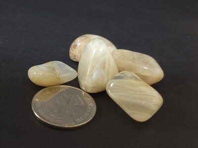 Decor - Tumbled Moonstone