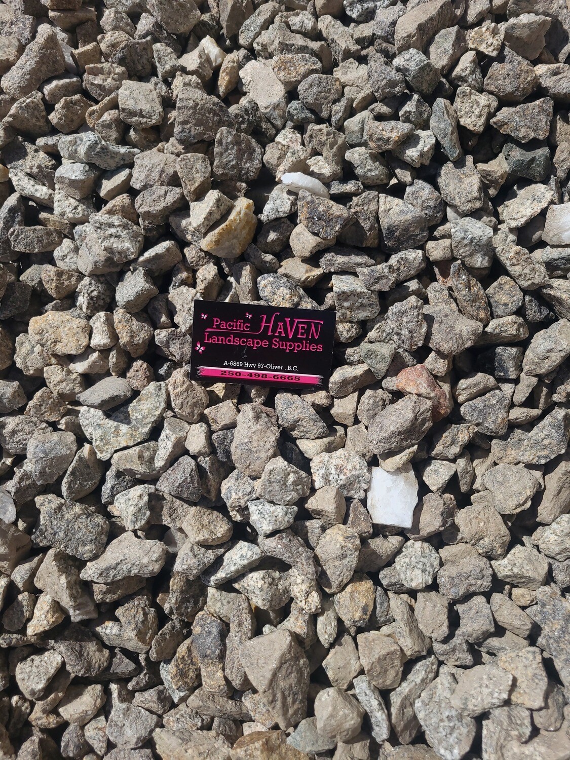 3/4&#39;&#39;-1&quot; Northern Sonoran