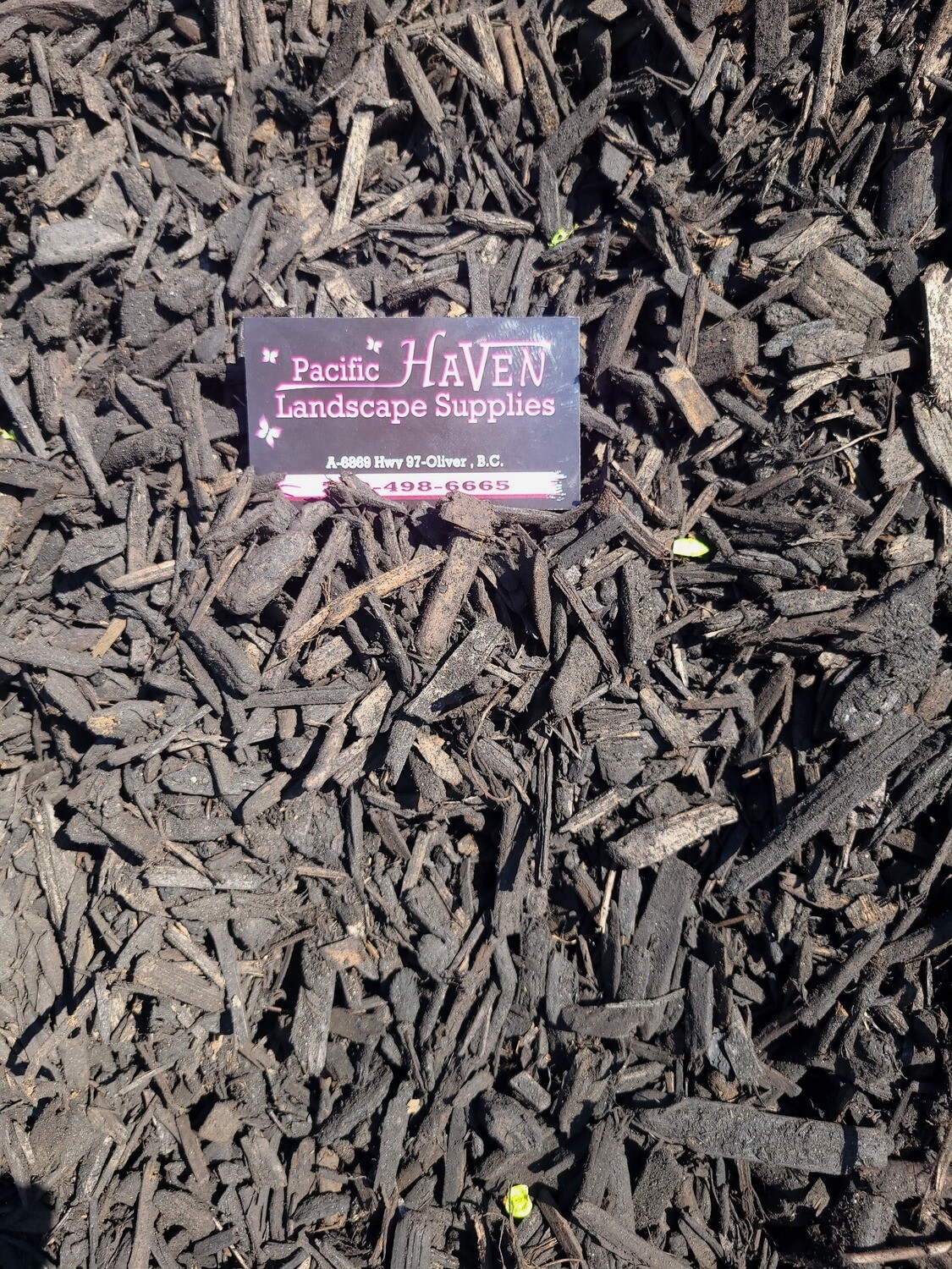 Mulch - Nature Gold