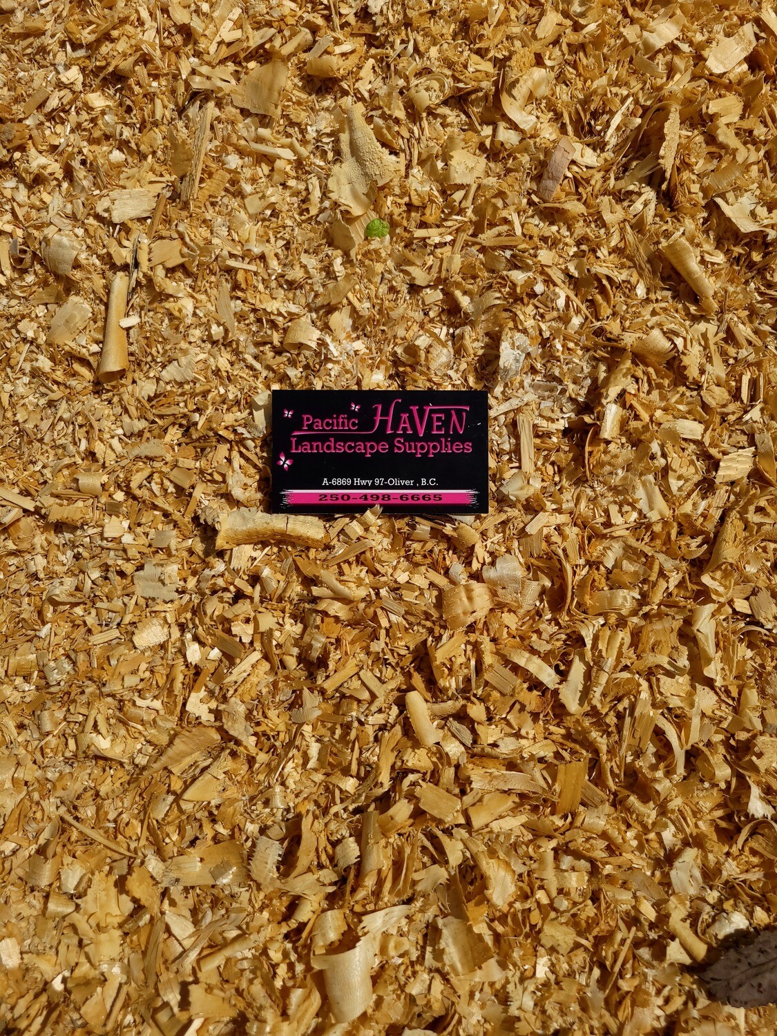 Mulch - Shavings