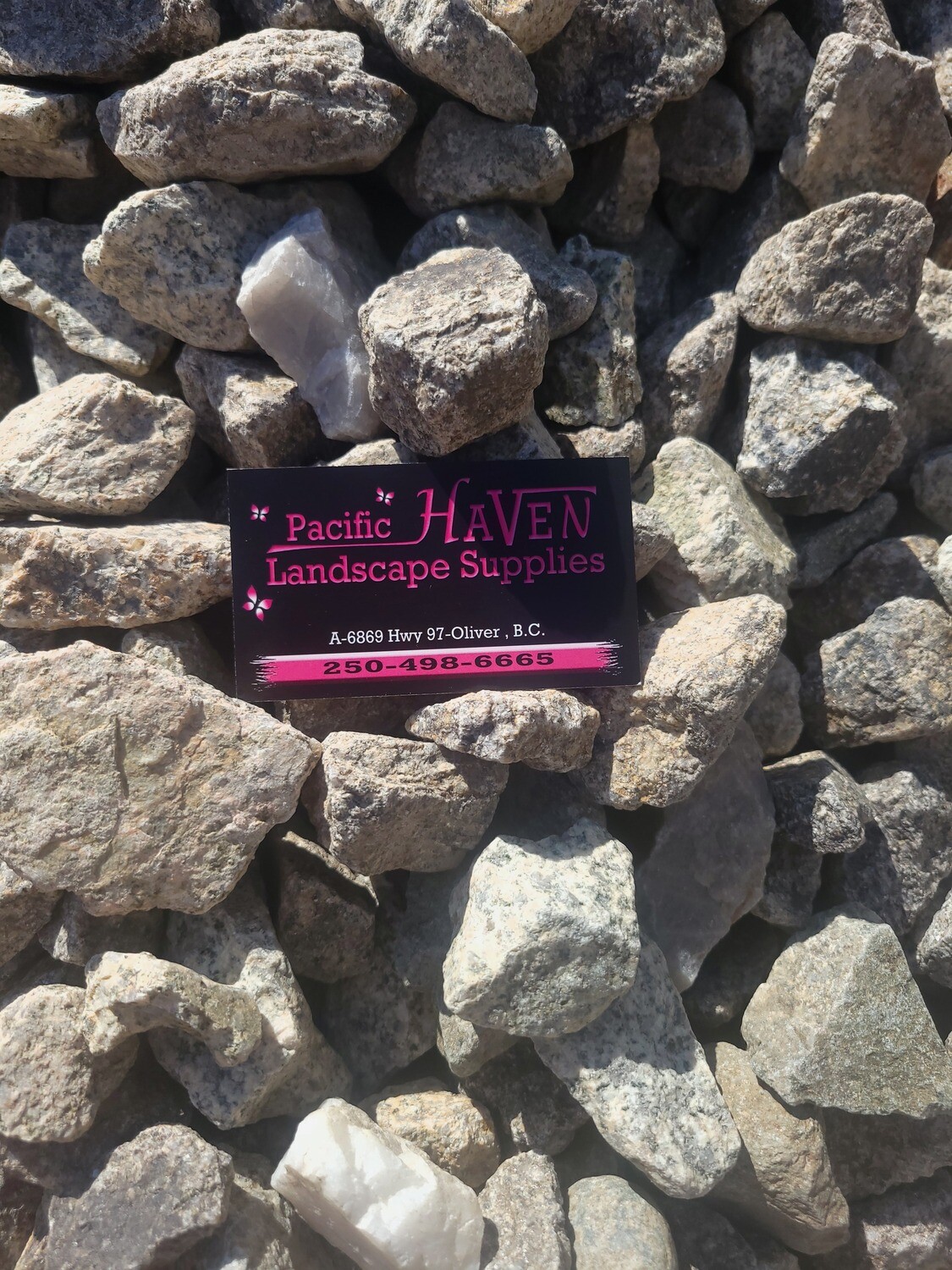 1&#39;&#39;-2&quot; Northern Sonoran