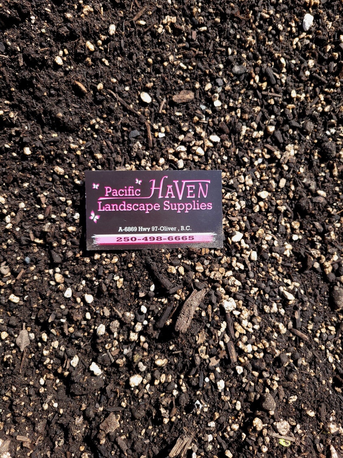 Soil - Potting Mix