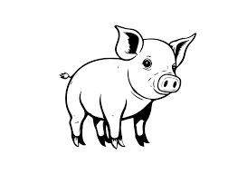 FEED - PIG