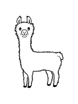 FEED - LLAMA