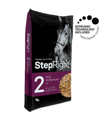 Step 2 Peak Performance 20KG
