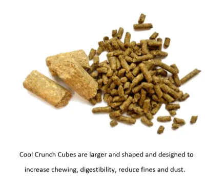 Pegasusâ„¢ Cool Crunch Cubes 16% 20KG