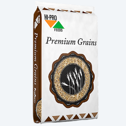 Corn Whole 20KG