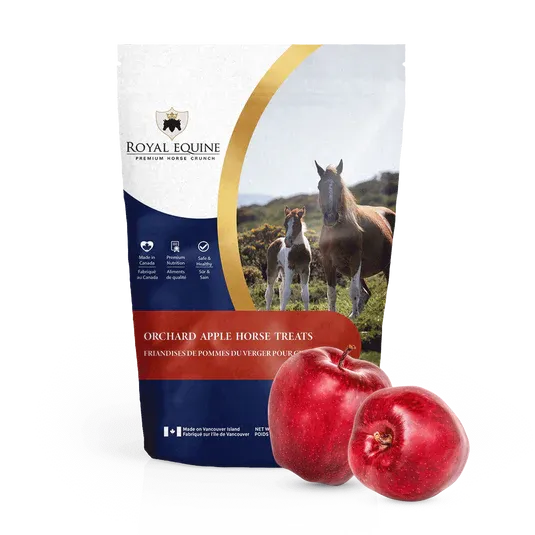 Horse Royal Equine Treat Orchard Apple 908G