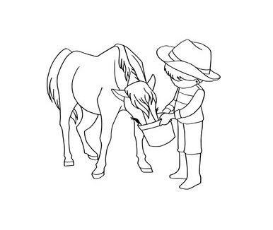 FEED - HORSE