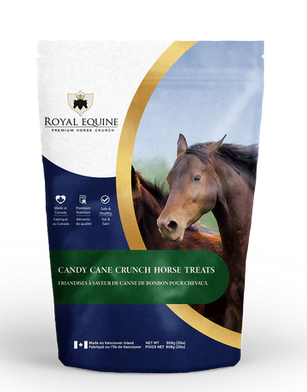 Horse Royal Equine Treat Candy Cane 908G