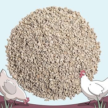 GRIT and CALCIUM