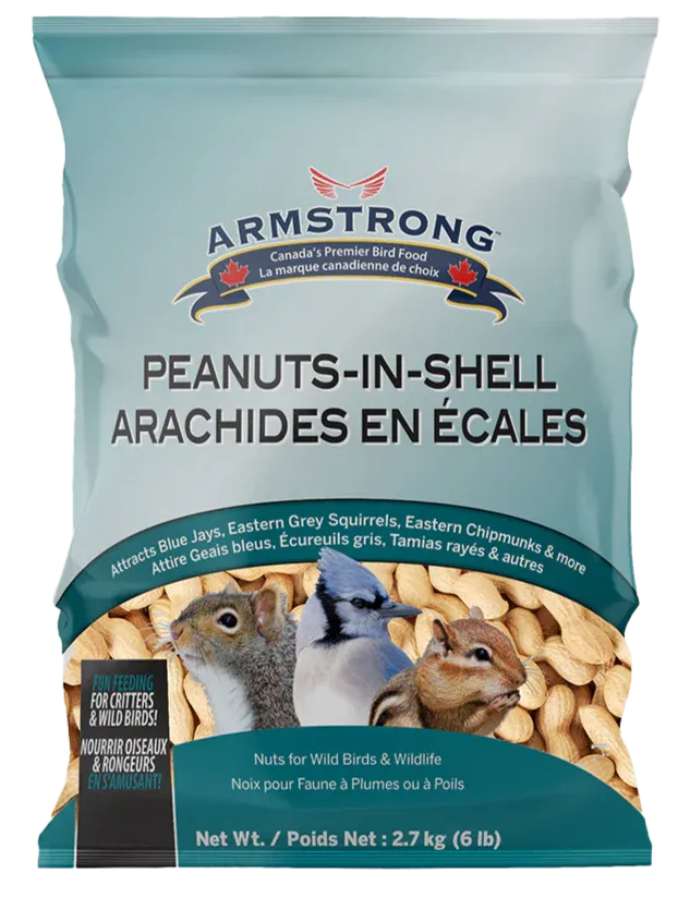 Peanuts in Shell 4.54KG