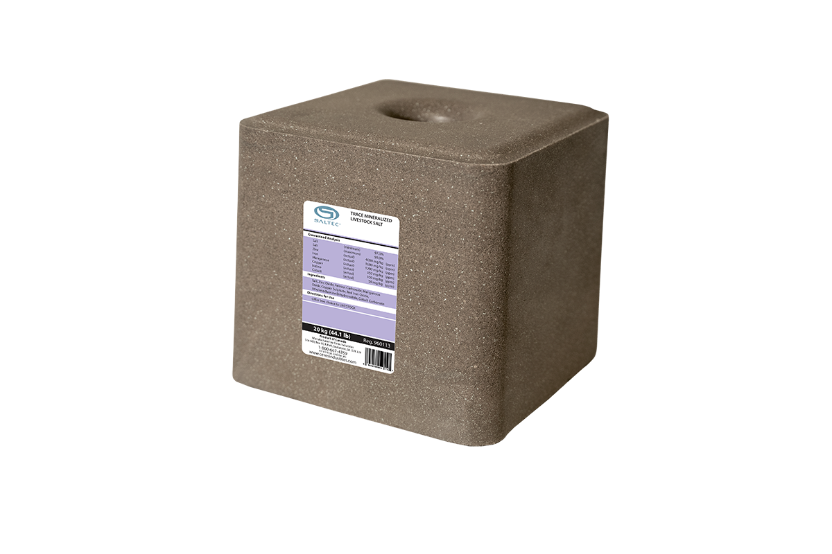 Trace Mineral Block Salt OS PURPLE 20KG