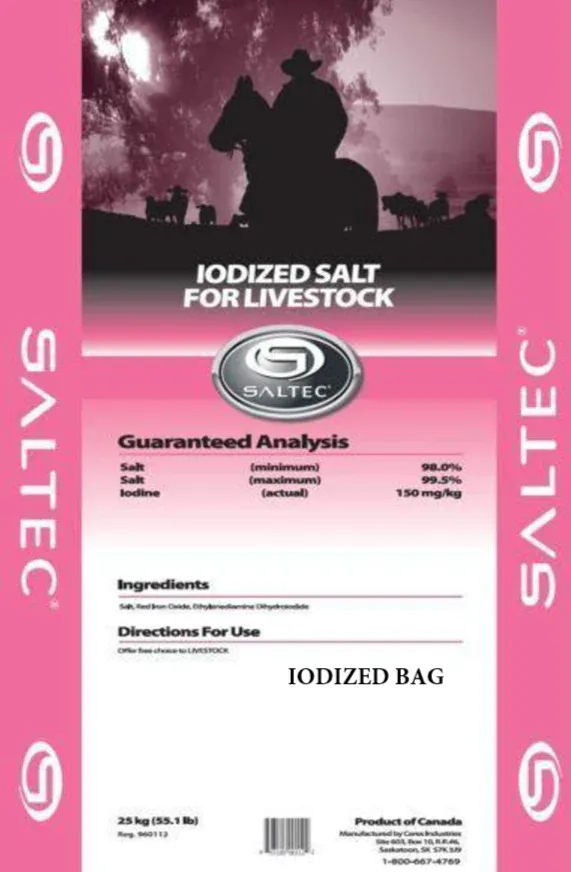 Iodized Bagged Salt 25KG