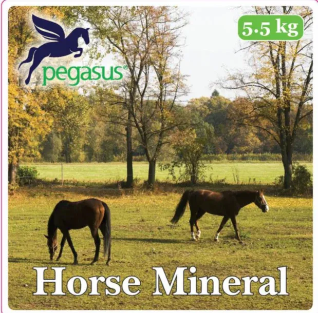 Pegasusâ„¢ Horse Mineral Supplement 5.5KG