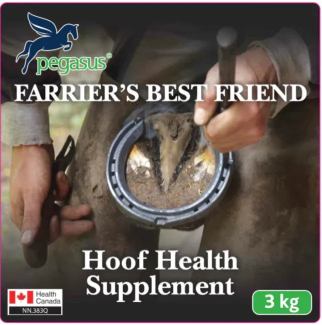 Pegasusâ„¢ Farrier&#39;s Best Friend Supplement 3KG