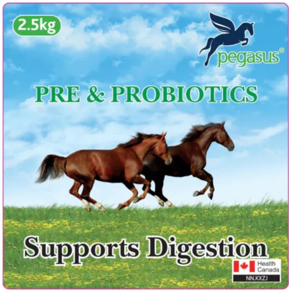 Pegasusâ„¢ Pre &amp; Probiotic Supplement 2.5KG