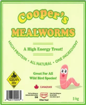 Mealworms 250g