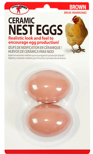 Eggs brown ceramic 2PKG