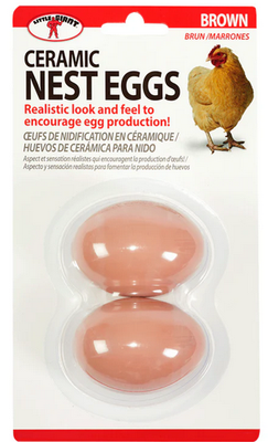 Eggs brown ceramic 2PKG
