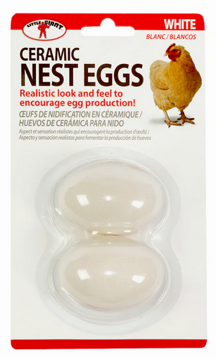 Eggs white ceramic 2PKG