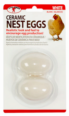 Eggs white ceramic 2PKG