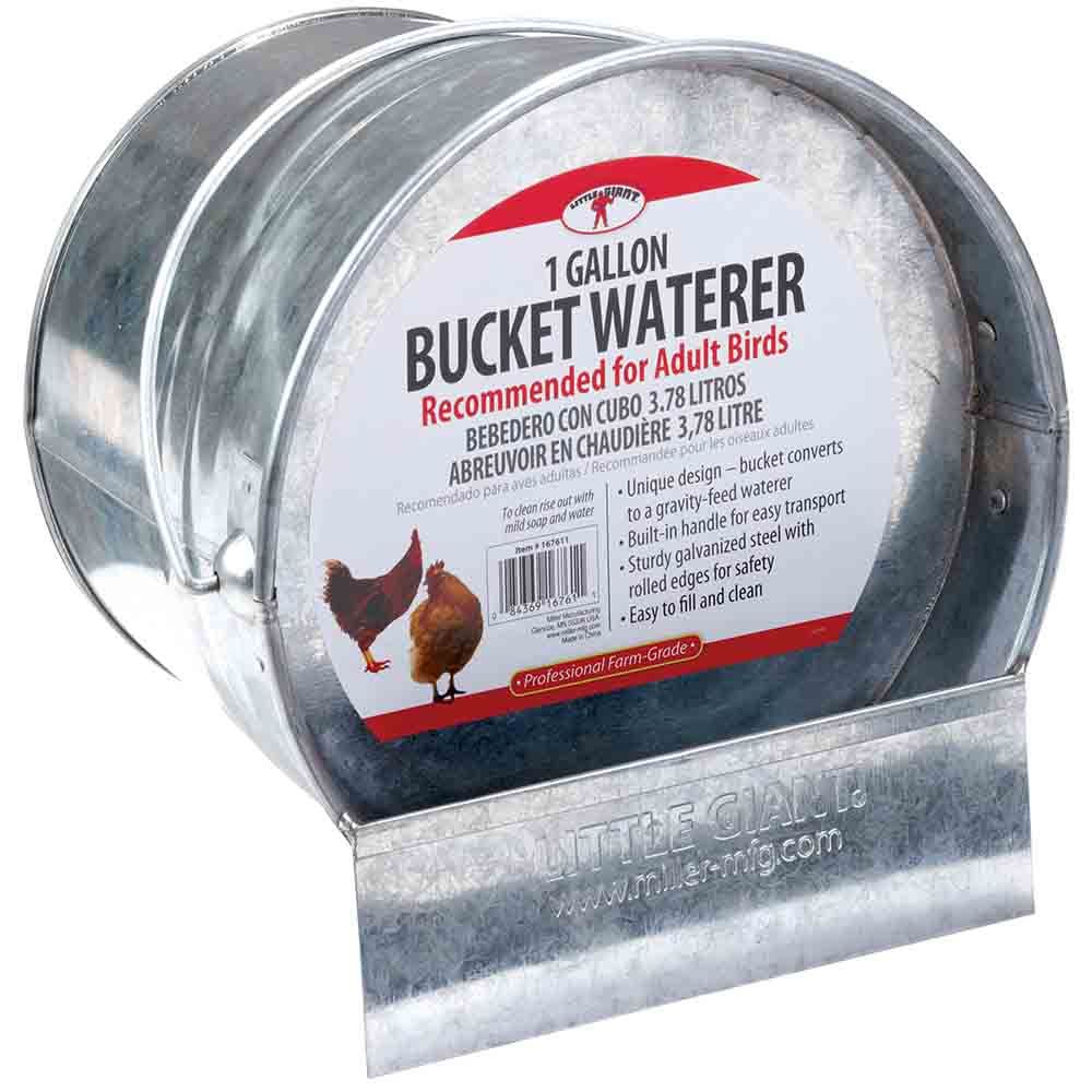 Waterer Galvanized Bucket  1G