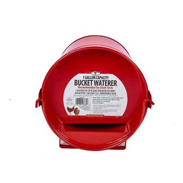 Galvanized Waterer Painted 1G