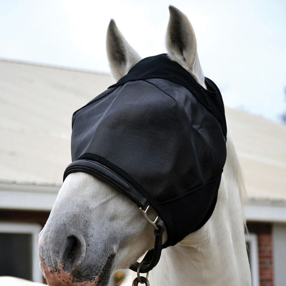 Fly mask without Ears