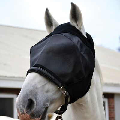Fly mask without Ears