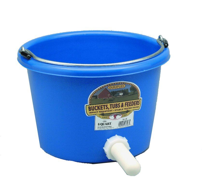 Nipple Calf with Pail