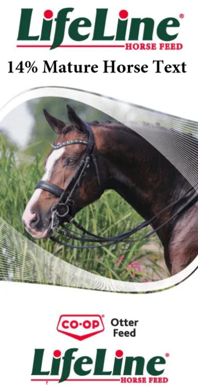 Mature Complete Horse Tex LL Co-op 14% 20kg