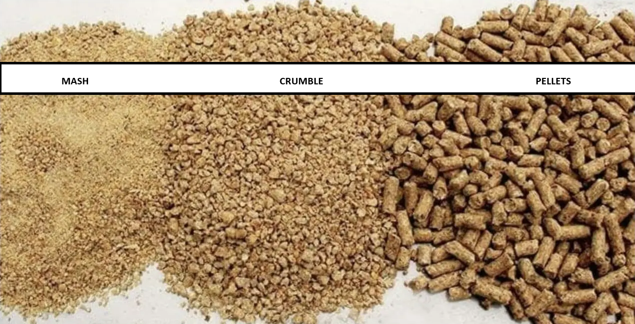 FEED SIZE INFO