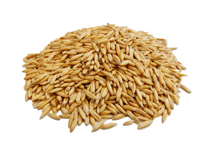 GRAIN