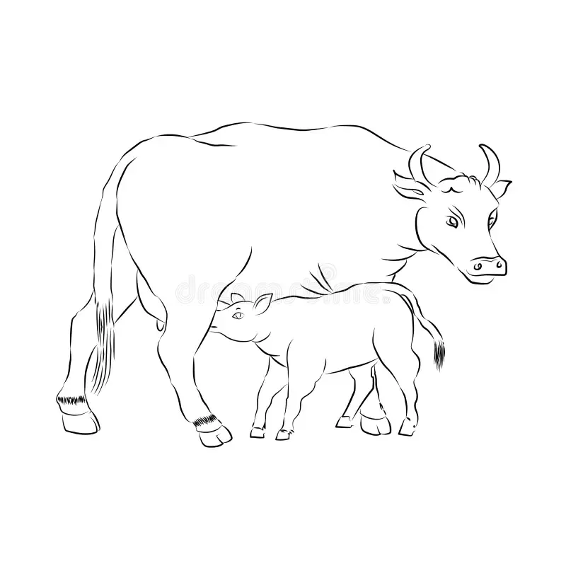 MILK REPLACEMENT