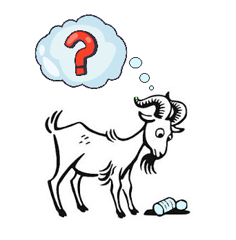 WHAT TYPE OF FEED IS BEST?