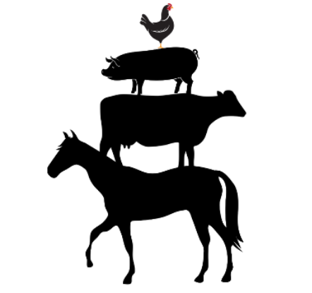 FARM SUPPLY