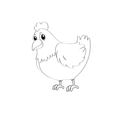 POULTRY